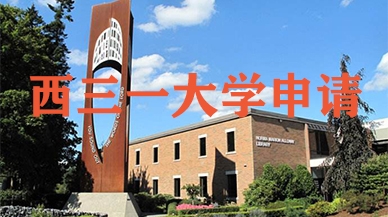 西三一大学